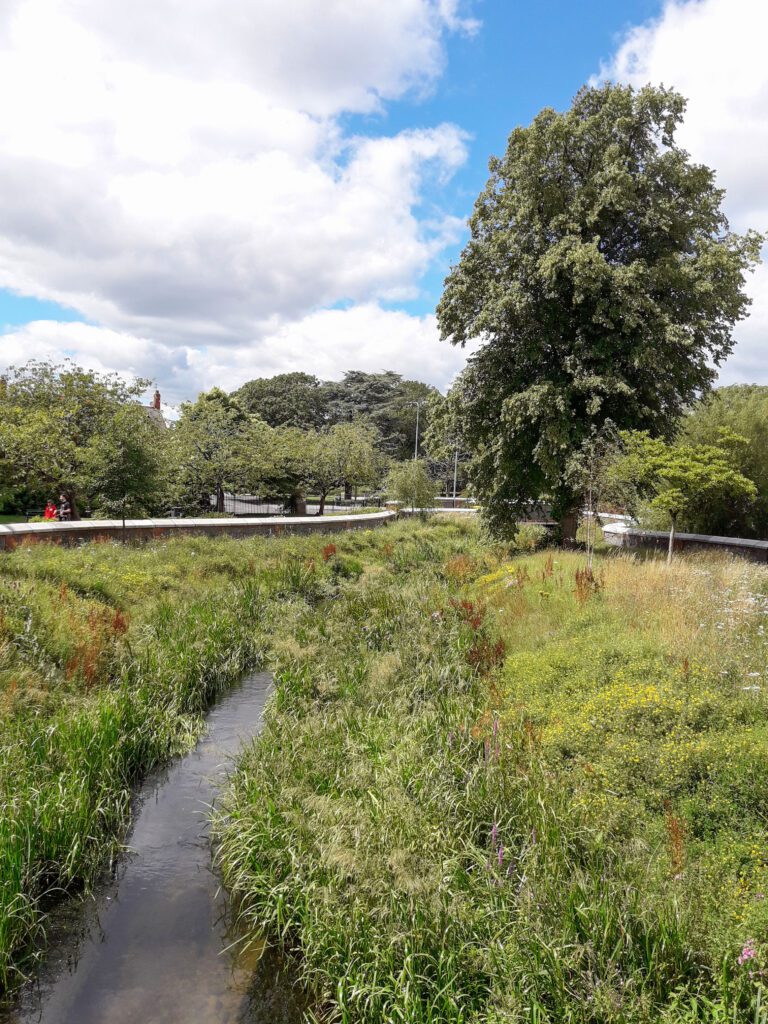 Stream through Waterloo Gardens