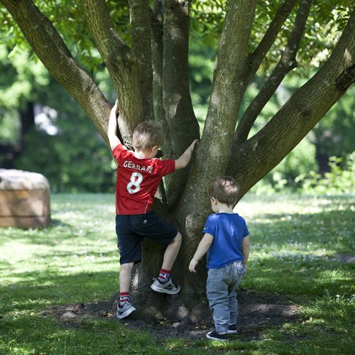 Bute Park - Outdoor Cardiff