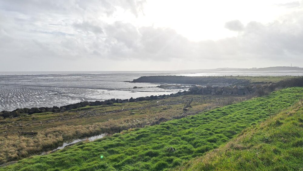 View of the sea from the coast path, with grass and cloudy skies