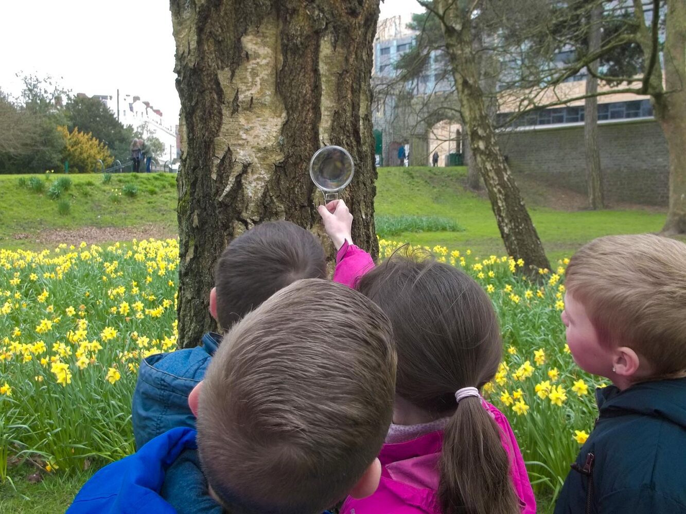 School group bug hunting