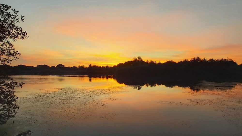 Hendre Lake Park - Outdoor Cardiff