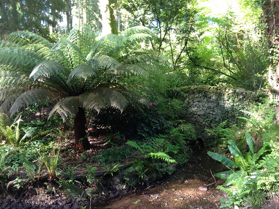 Parc Cefn Onn - Outdoor Cardiff