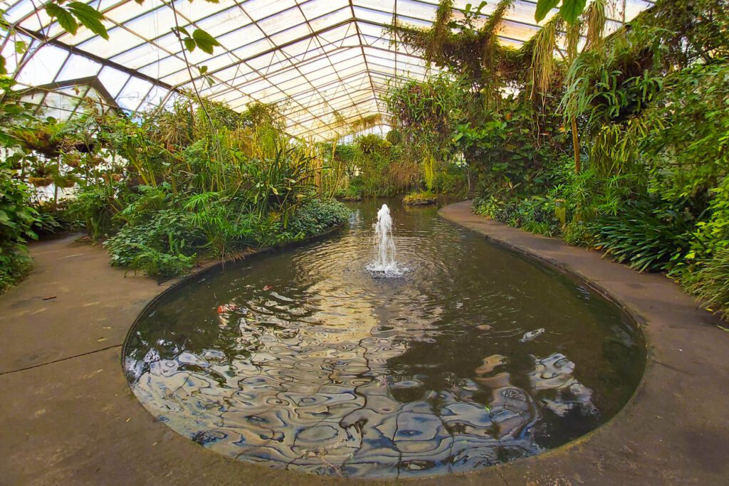 Roath Park conservatory fountain by Gareth Johns